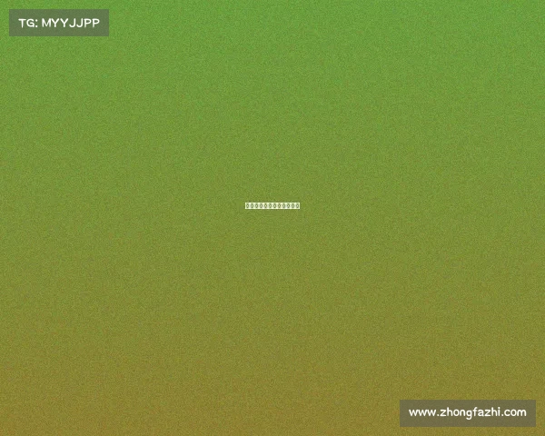 保罗亨特所有的赛事有哪些